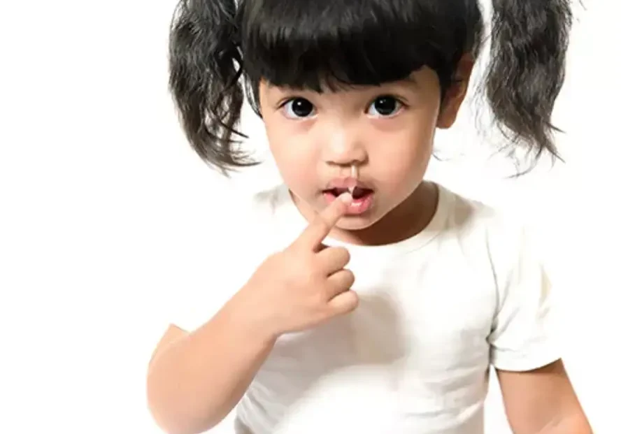 photo_resources_snot